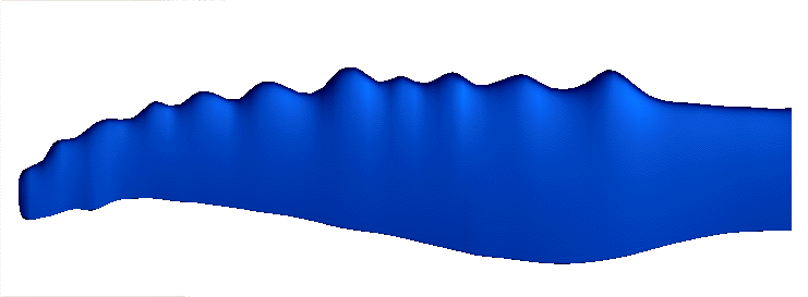 pectoral fin